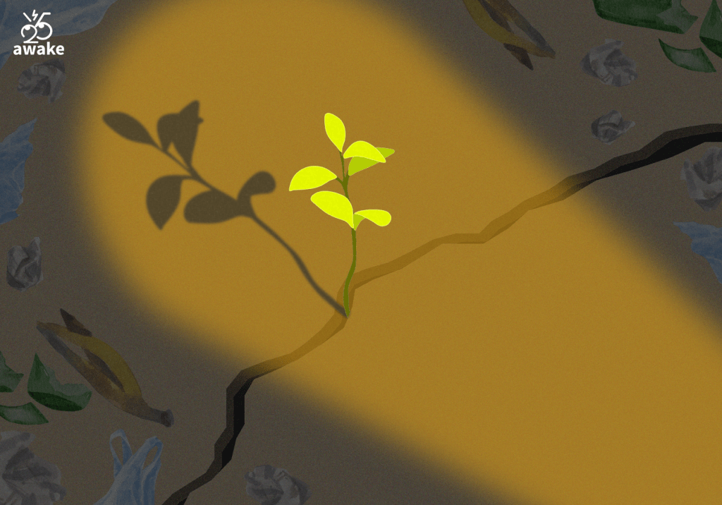 เด็กฝึกงานคนใหม่