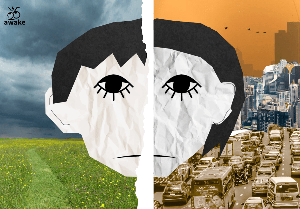 จากเด็กขี้กลัวในวันนั้น สู่ผู้ใหญ่ขี้กลัวในวันนี้